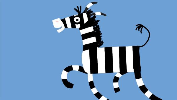 Das schwarz-weiß gestreifte Zebra hüpft unbeschwert herum.