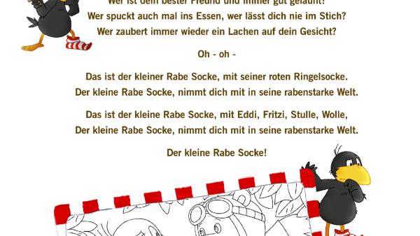 Der Songtext von dem Lied "Der kleine Rabe Socke"