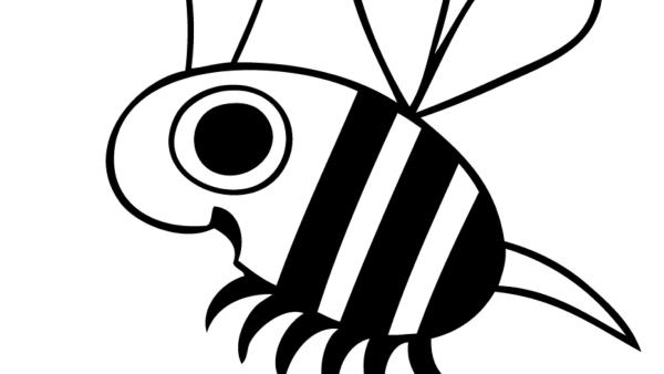 Ausmalbild zur Biene von "Ich kenne ein Tier"