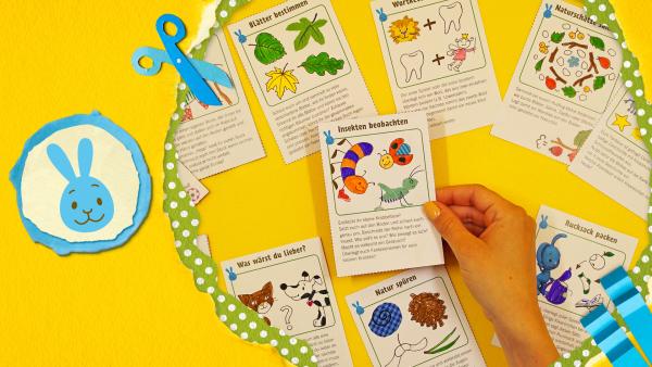 Erlebniskarten für die Natur | Rechte: KiKA