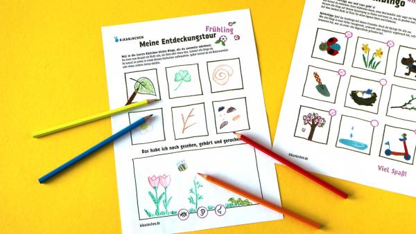 Das zweite Blatt des Naturbingo-PDFs, auf dem mit Buntstiften eingezeichnet wird, was du auf deinem Frühlingsspaziergang gesehen hast, wie zum Beispiel Tulpen, andere Frühblüher oder eine Hummel.