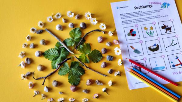 Das ausgedruckte Suchspiel von KiKANiNCHEN, indem du auf deinem Spaziergang Dinge wie eine kleine Schaufel, Frühblüher oder ein Vogelnest finden musst. Außerdem kannst du in einem Eierkarton Dinge aus der Natur sammeln und ein Naturmandala legen.