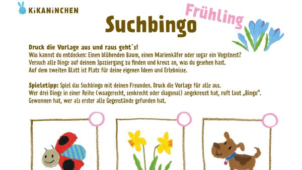 Die Vorlage zum Ausdrucken für ein Suchbingo im Frühling. Suchobjekte sind Frühblüher, wie Narzissen, ein Vogelnest, eine Pfütze, ein blühender Kirchbaum und andere Naturgegenstände.