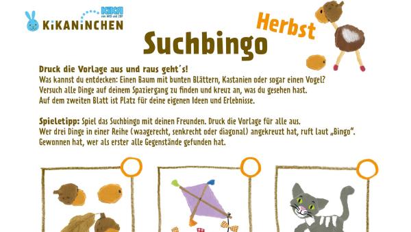 Die Vorlage zum Ausdrucken für ein Suchbingo im Herbst. Suchobjekte sind Eicheln, Kastanien, Ahornnasen, Gummistiefel, Zugvögel, ein Baum mit bunten Blättern und andere Naturgegenstände.