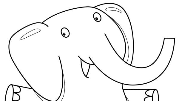 Elefantenjunge Max | Rechte: NATIONAL GEOGRAPHIC Society