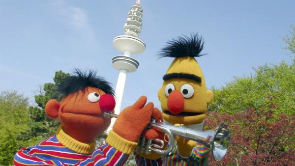 Ernie bittet Elmo, beim Singen das Echo zu sein und Bert ermuntert Ernie, auf seiner Trompete immer lauter zu spielen.