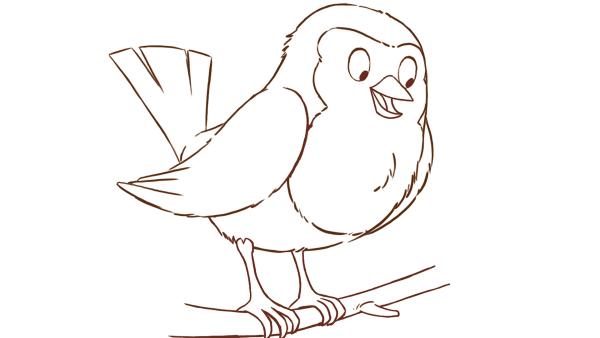 Robin | Rechte: MDR/WunderWerk