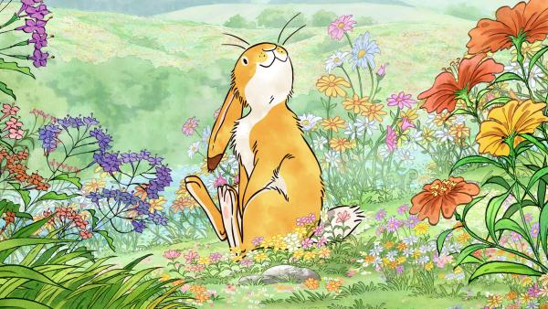 Der kleine braune Hase sitzt schaut sich neugierig um und sitzt auf einer Blumenwiese. 
